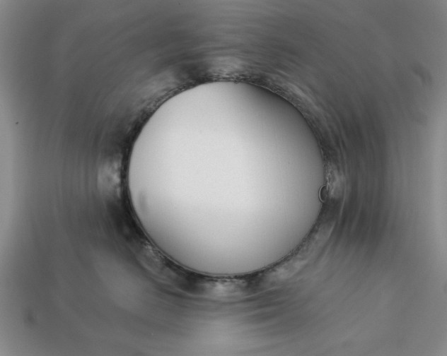 X0000113360670200909291031