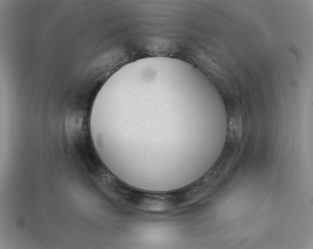 X0000113360671200909291031