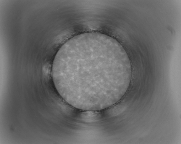 X0000113360672200909291031