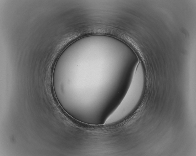 X0000113360673200909291030