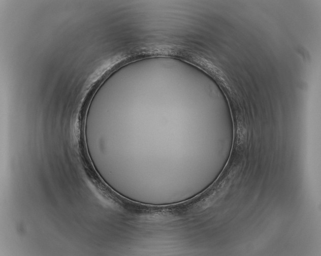 X0000113360674200909291030