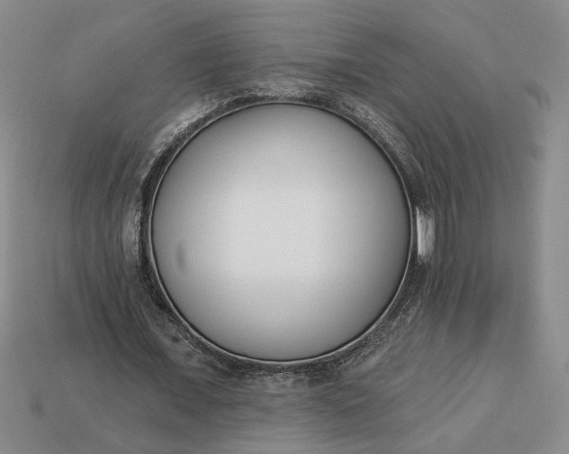 X0000113360675200909291030