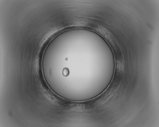 X0000113360676200909291030