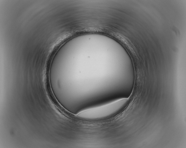 X0000113360677200909291030