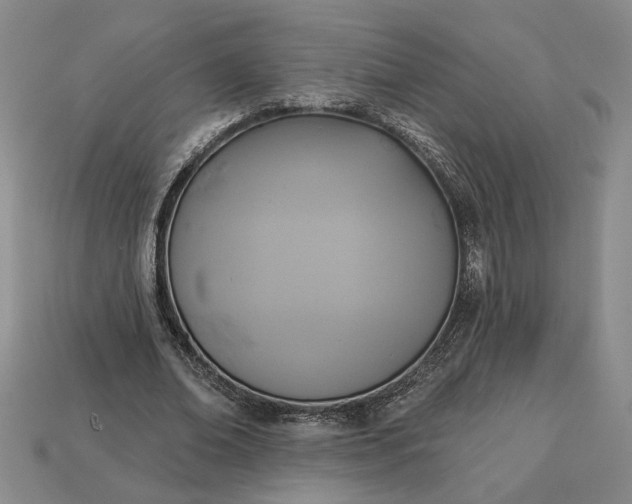 X0000113360678200909291030