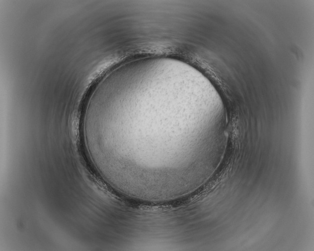 X0000113360679200909291030