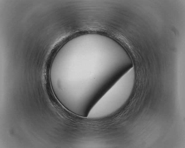 X0000113360680200909291030