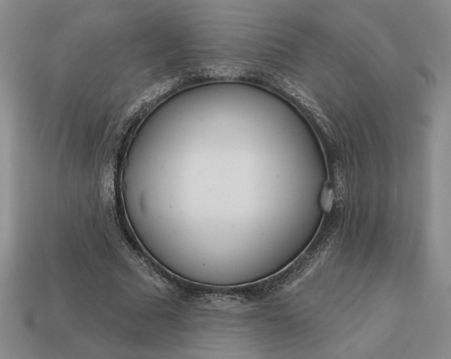 X0000113360681200909291030