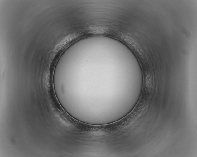 X0000113360682200909291030