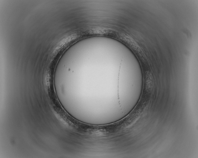 X0000113360683200909291030