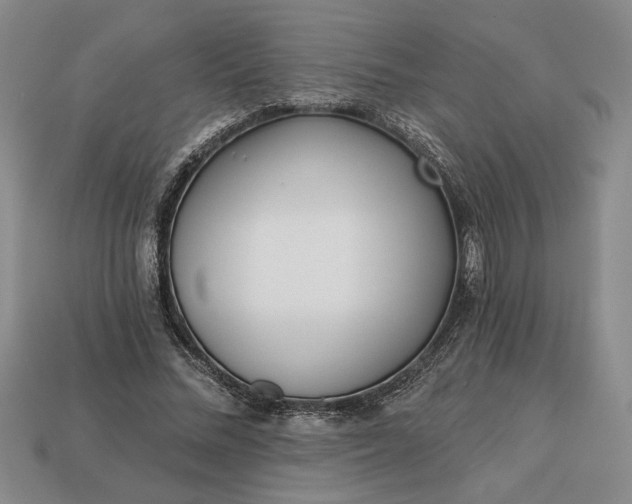 X0000113360684200909291030