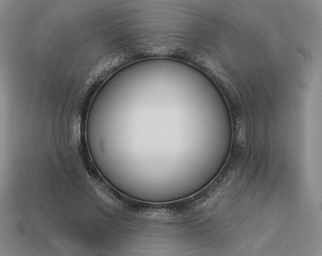 X0000113360685200909291030