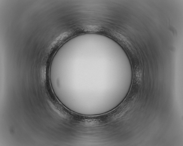 X0000113360686200909291030