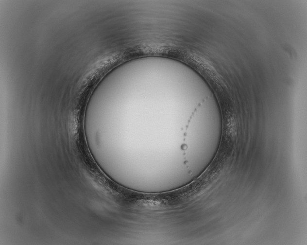 X0000113360687200909291030