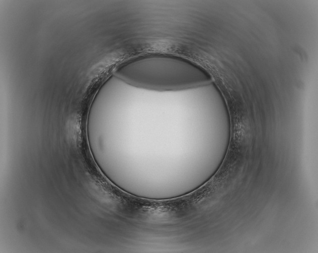 X0000113360688200909291030