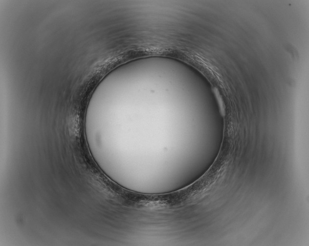 X0000113360689200909291030