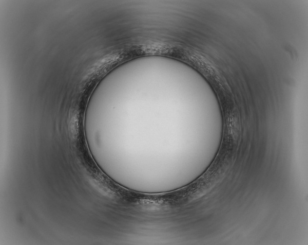 X0000113360690200909291030