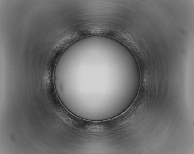 X0000113360691200909291030