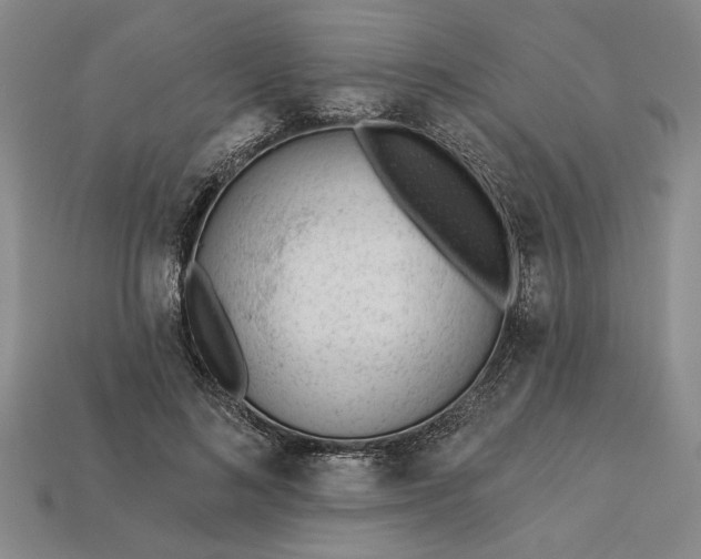 X0000113360692200909291030