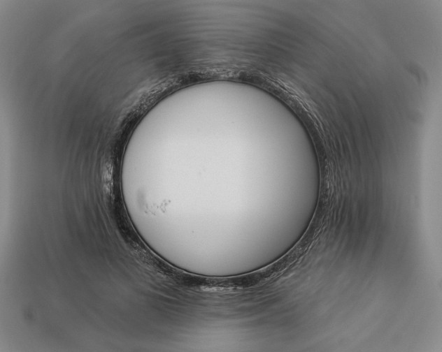 X0000113360693200909291030