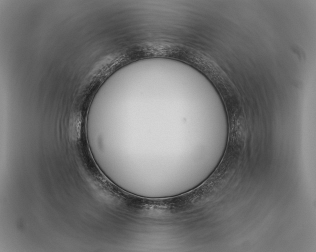 X0000113360694200909291030