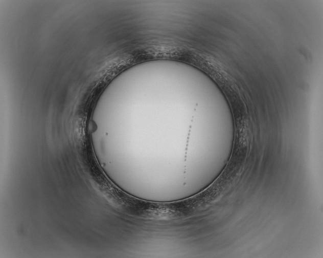 X0000113360695200909291030