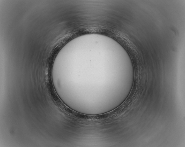 X0000113360696200909291030