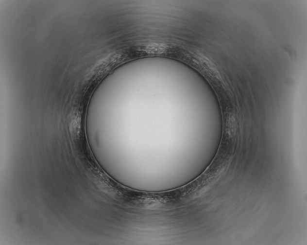 X0000113360697200909291030