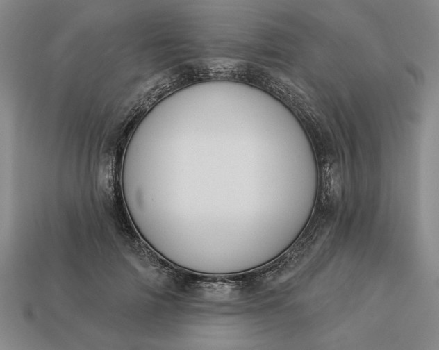 X0000113360698200909291030