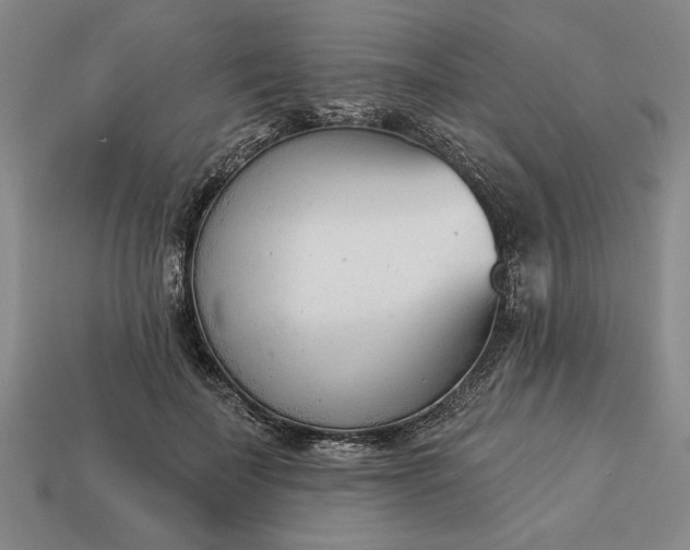 X0000113360699200909291030