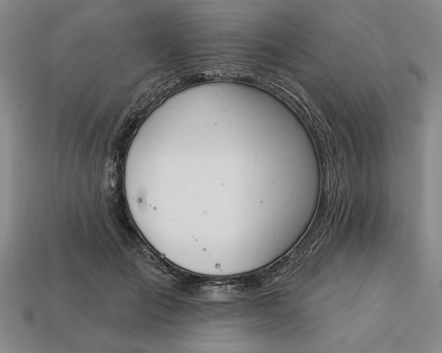 X0000113360701200909291030