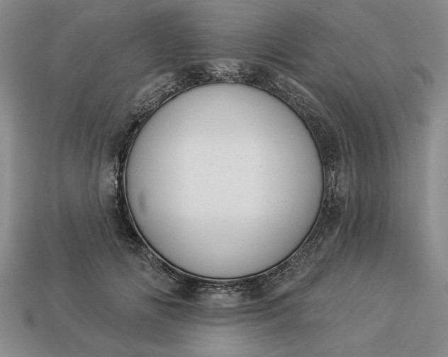 X0000113360702200909291030