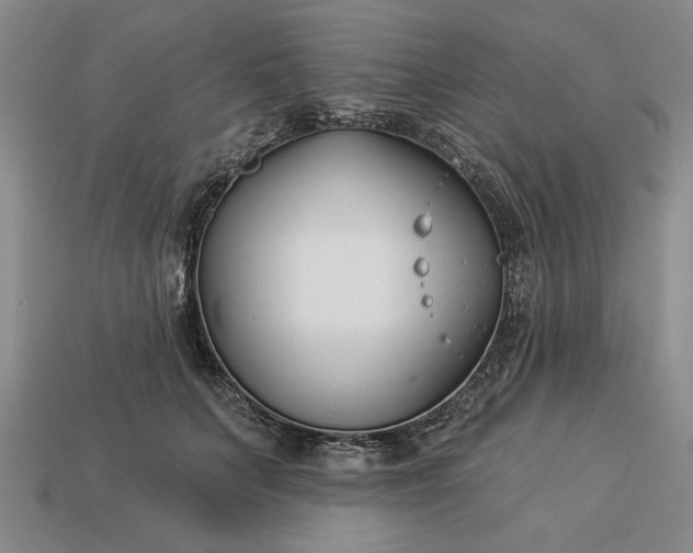 X0000113360703200909291030