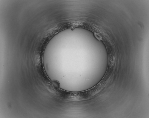 X0000113360704200909291030