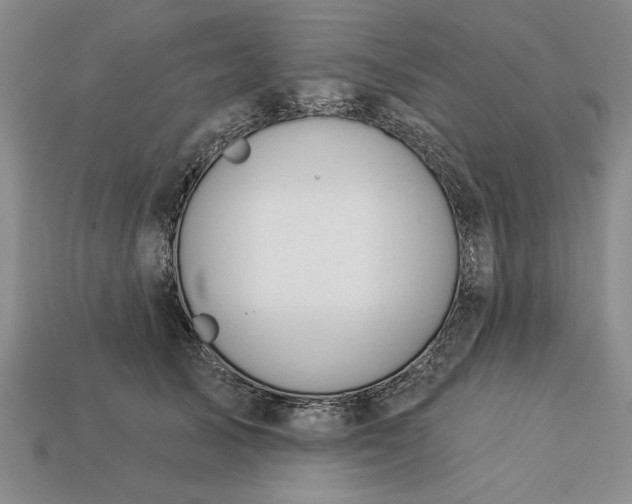 X0000113360705200909291030