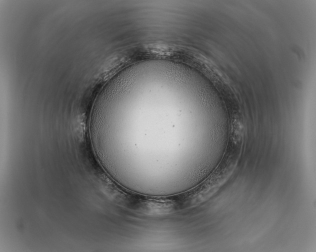 X0000113360707200909291030