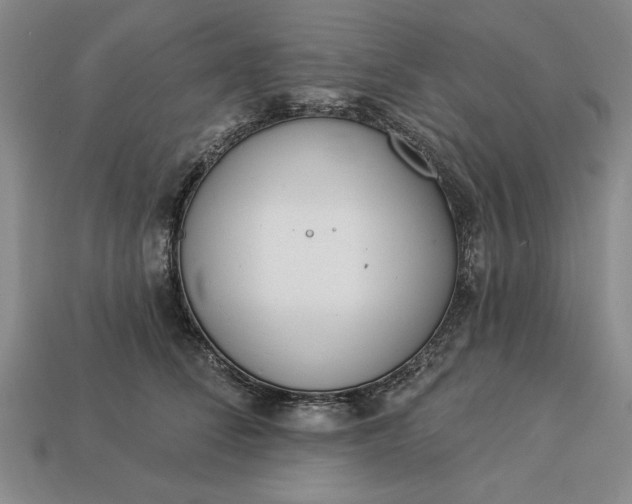 X0000113360708200909291030