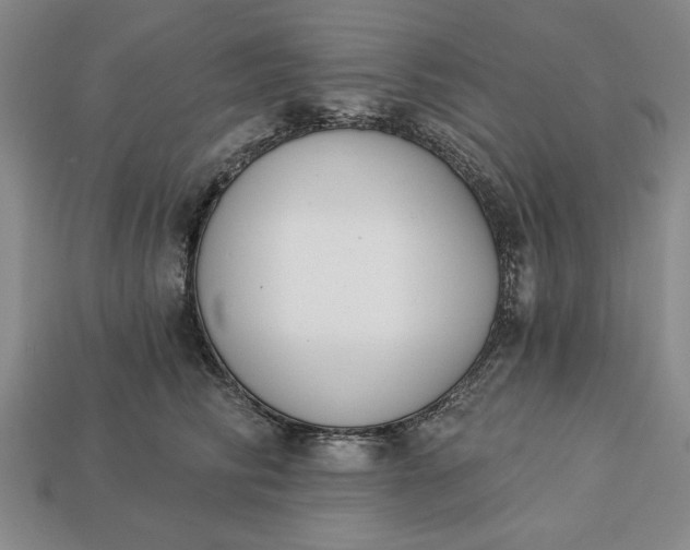 X0000113360710200909291030