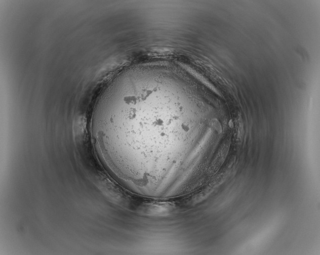 X0000113360711200909291030