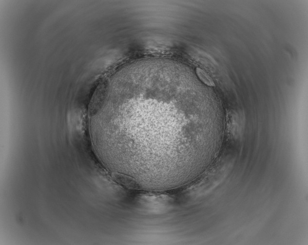 X0000113360712200909291030