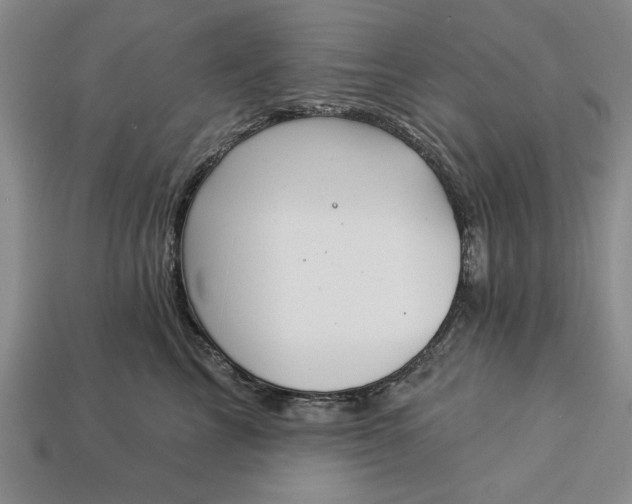 X0000113360713200909291030