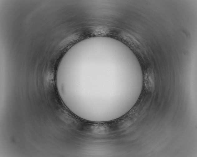 X0000113360714200909291030