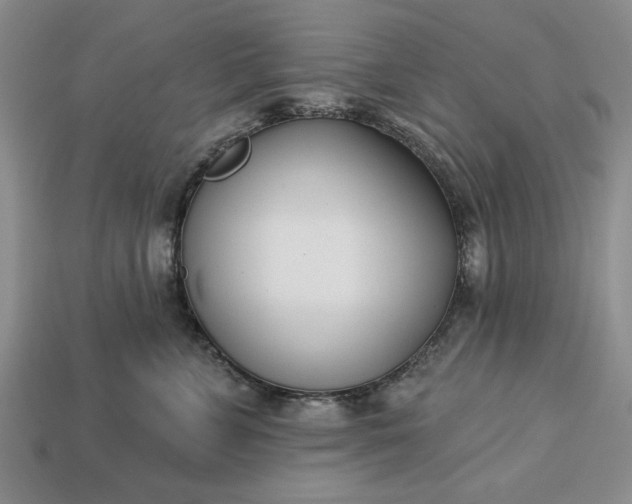 X0000113360715200909291030