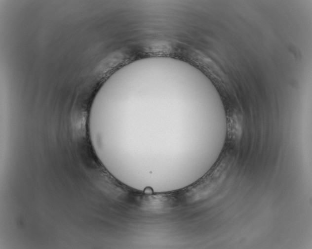 X0000113360717200909291030