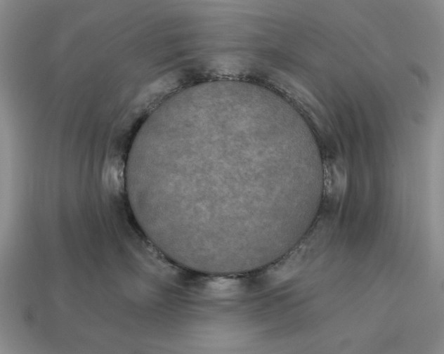 X0000113360718200909291030