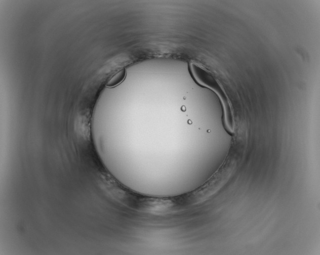 X0000113360719200909291030