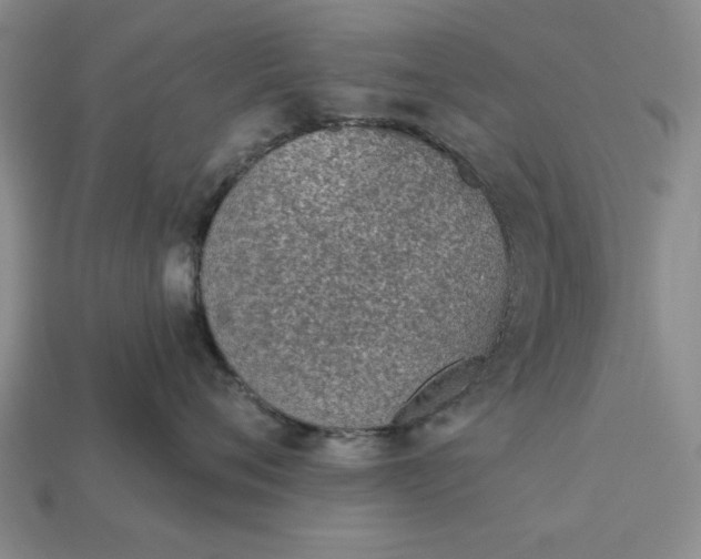 X0000113360720200909291030