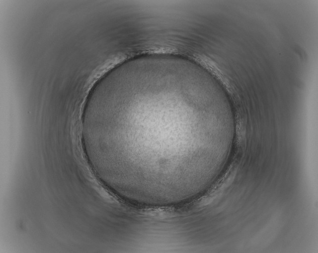 X0000113360721200909291029