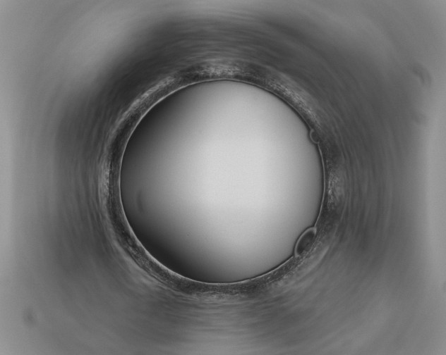 X0000113360722200909291029