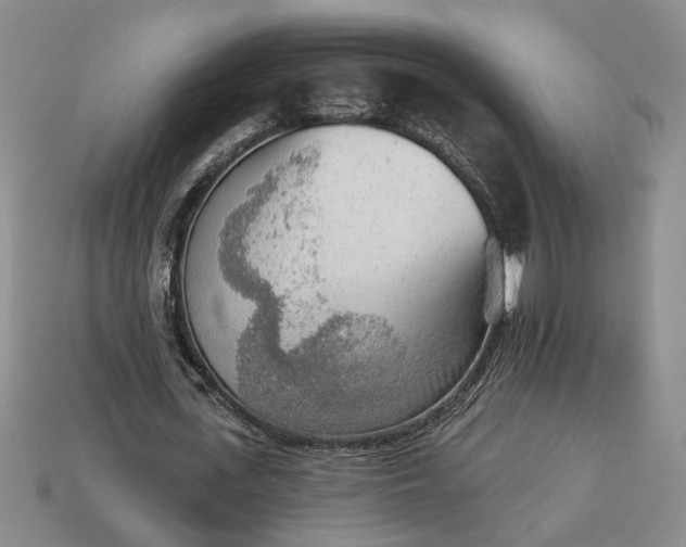 X0000113360723200909291029